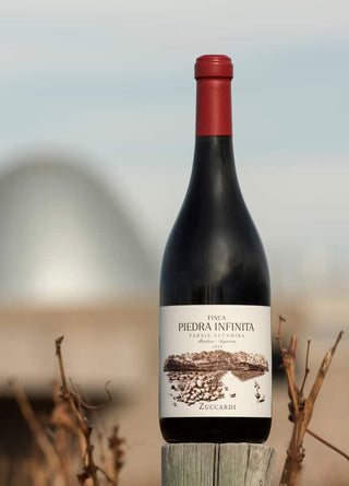 Zuccardi Finca Piedra Infinita 2021 – Paraje Altamira Single-Vineyard Malbec
